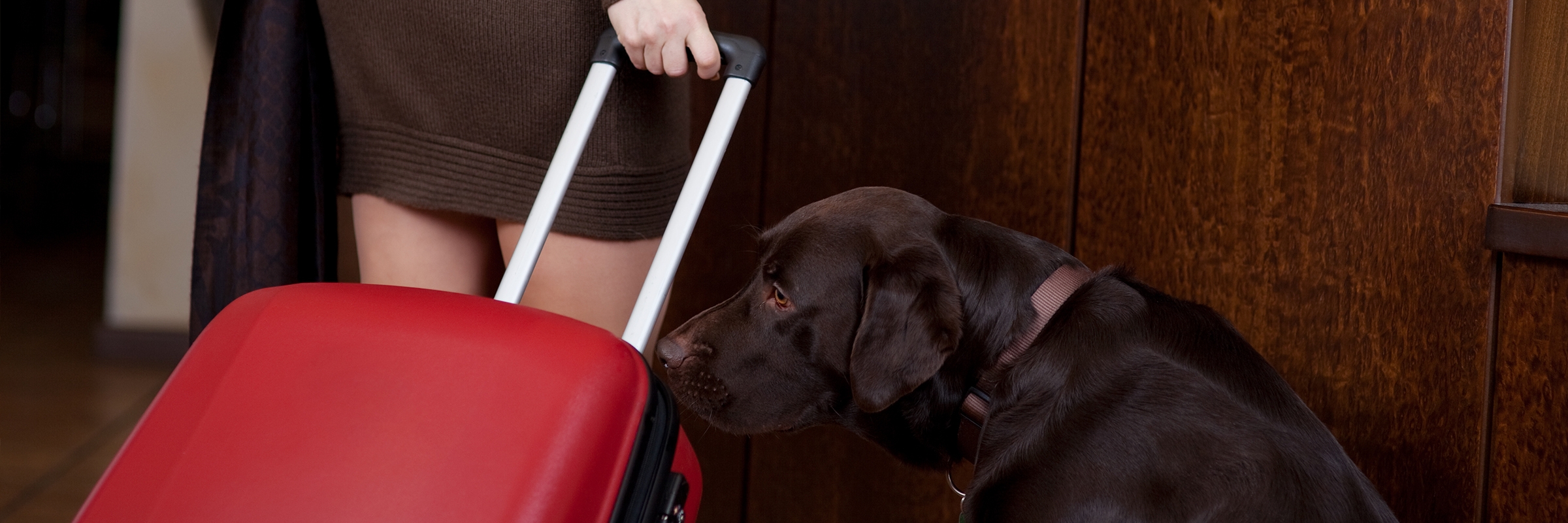 Dog-Friendly Hotel